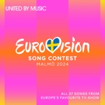 Eurovision Song Contest Malmö 2024