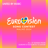 Eurovision Song Contest Malmö 2024 - Verschillende artiesten Cover Art