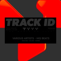 HIQ BEATS - Single - SODREE, Haluem & Eros (RO)