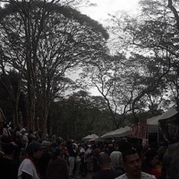 Allface (Século VIII) - ALLFACE