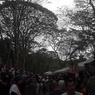 Allface (Século VIII)