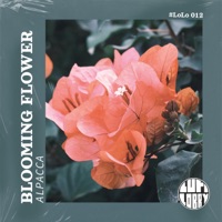 Blooming Flower - Single - Alpacca