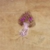 Blossom