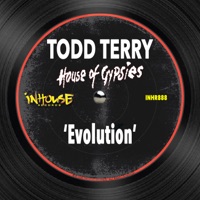 Evolution - Single - Todd Terry & House of Gypsies