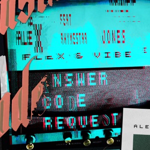 Flex & Vibe (feat. Rhymestar) [Answer Code Request Remix]