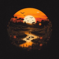 Balmy - Single - Olin Jei