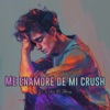 Me Enamoré De Mi Crush - Single (feat. Zckrap) - Single