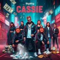 CASSIE - Single - BigWig