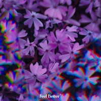 birds singing in the dark - Single - Runaway Horses & Mirai No Hagaki