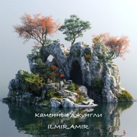 Каменные джунги (feat. AMIR) - Single - ILMIR