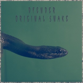 I Been Watching You Dfender