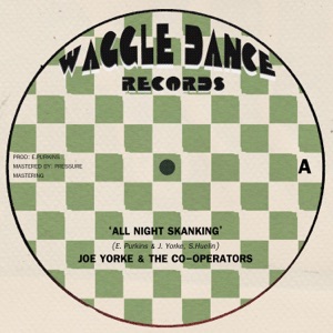 All Night Skanking - Single
