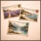 Blossoms (Nature Sounds) - Cameron Segal lyrics