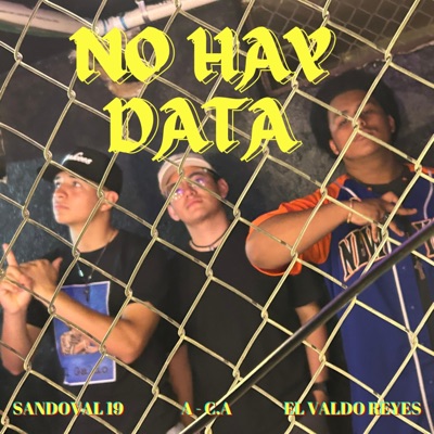 No Hay Data (feat. El Valdo Reyes, Esaú & ProdbyA CA) - Single