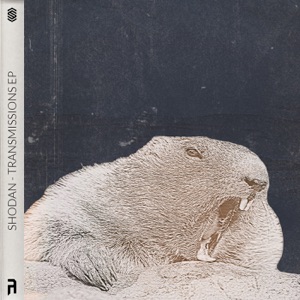 Transmissions - EP