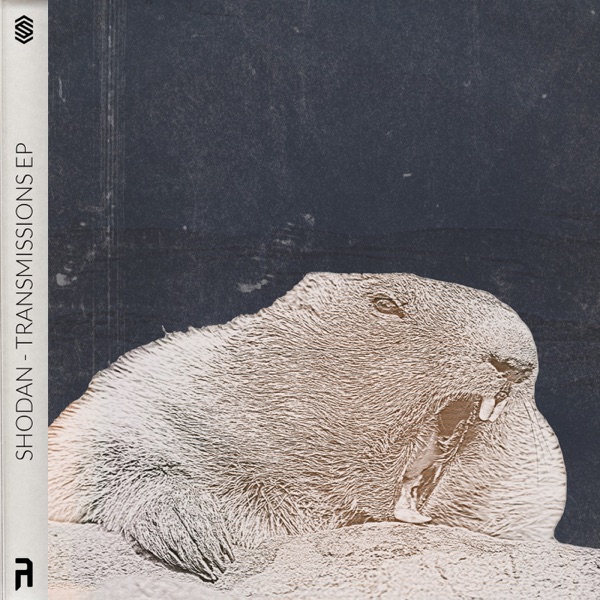 Transmissions - EP
