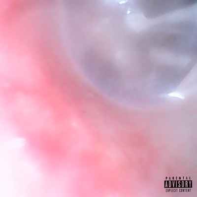 EAR HIIITTERS - Single