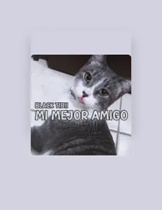 Posłuchaj wykonawcy Black Tibii, obejrzyj teledyski, przeczytaj biografię, zobacz daty tras koncertowych i nie tylko!