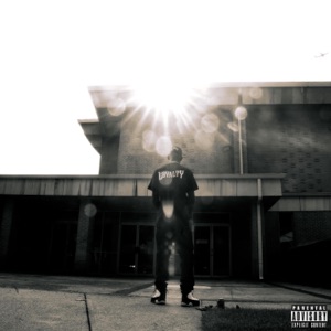 DAMN FOOL (feat. Boogiemane) - Single
