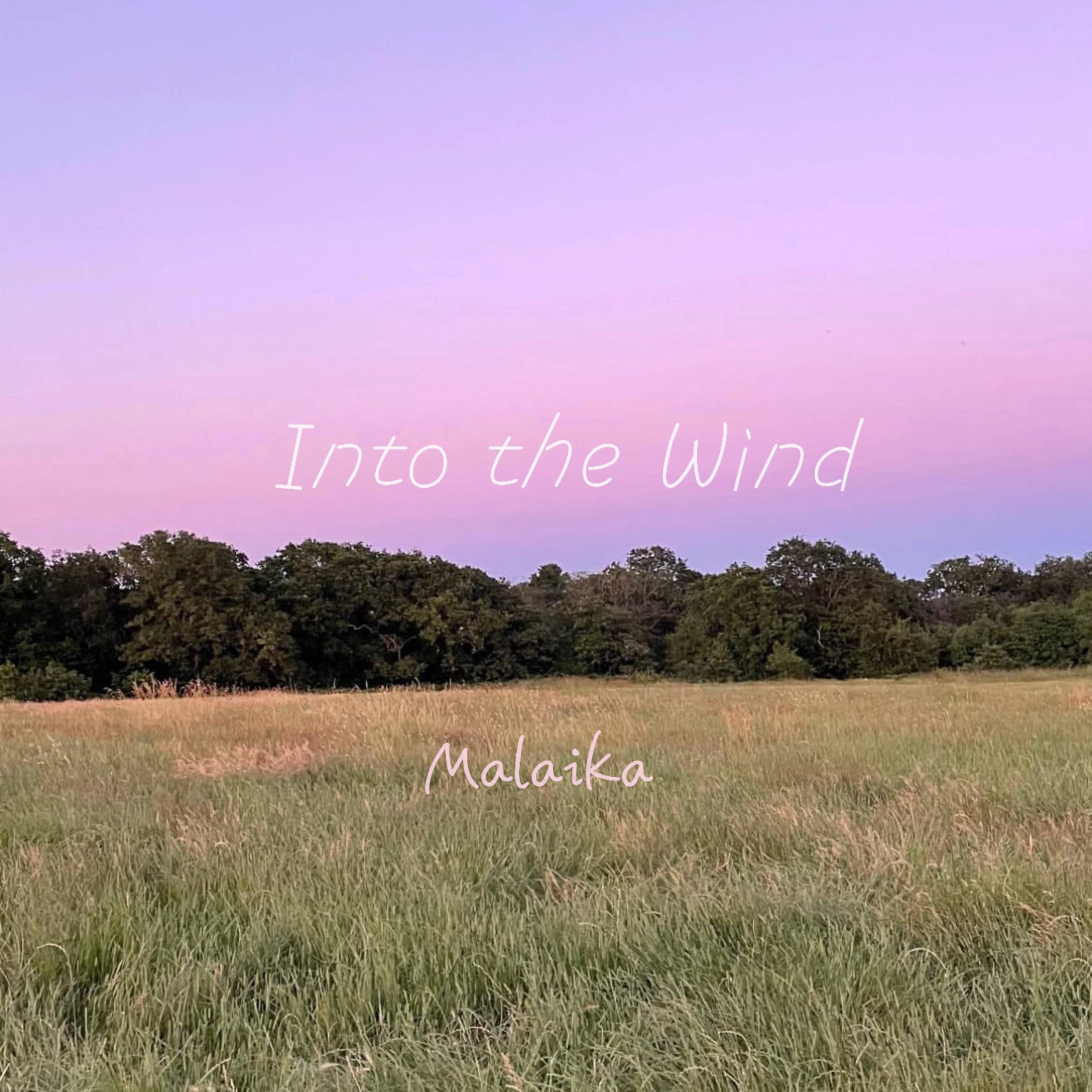 Into the Wind - EP