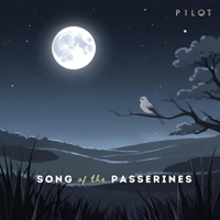 Song of the Passerines - EP - P1LOT
