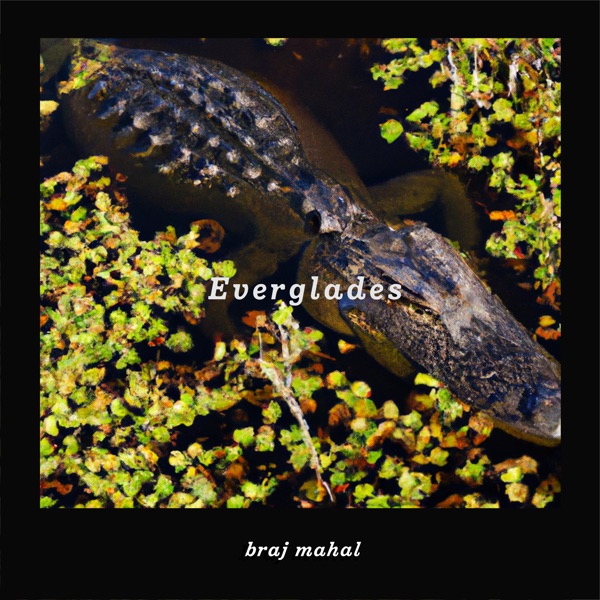 Everglades - EP