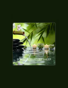 Ascolta BGM STRESS RELIEF SHEEP, guarda video musicali, leggi la biografia, vedi le date del tour & altro!