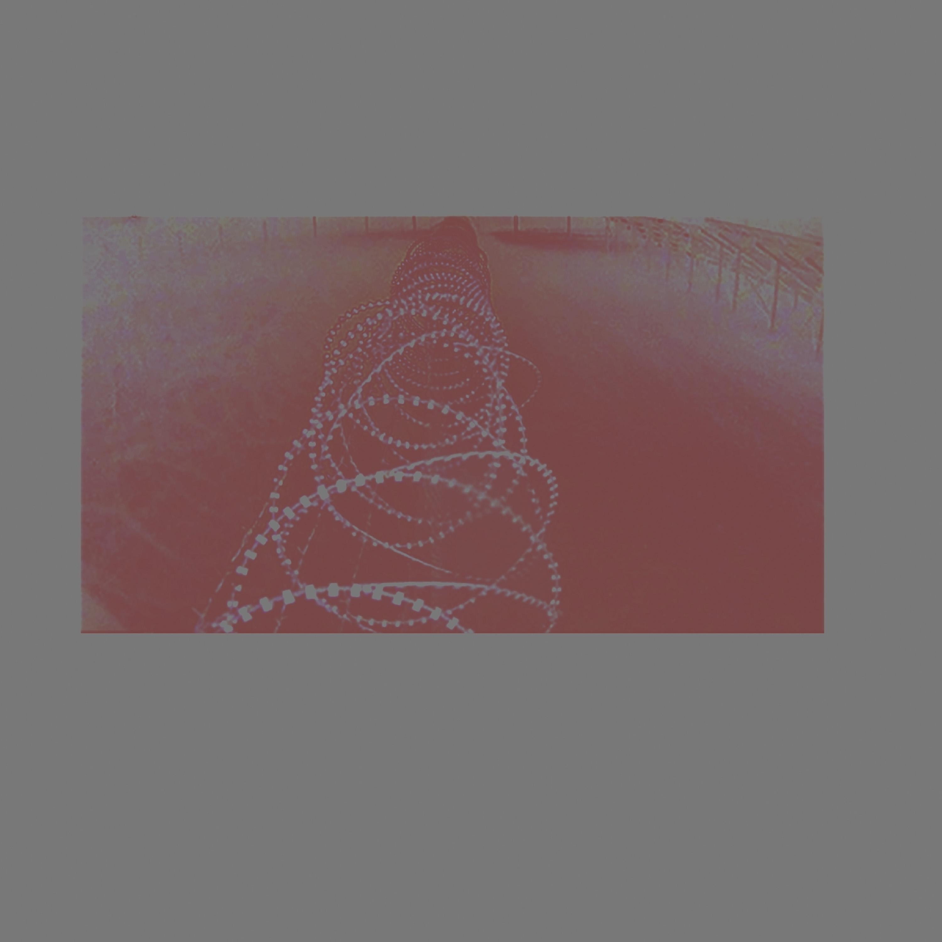 The Salamander / A Reasonable Man - Single