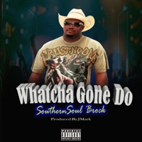 Whatcha Gone Do - Single - SouthernSoul Brock