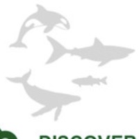 Telangiectasia - Single - Pretty V