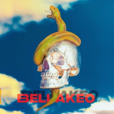 Bellakeo (feat. MASTER LA MELODIA & Elinoy Evo) - Single