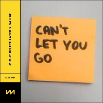 Can't Let You Go - Single