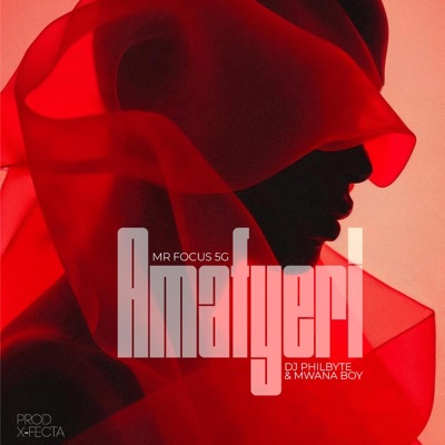 Amafyeri (feat. Dj Philbyte & Mwana Boy) - Single