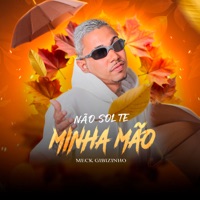 Não Solte Minha Mão - Single - Meck Gibizinho