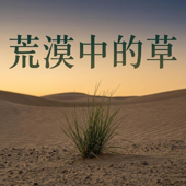 荒漠中的草