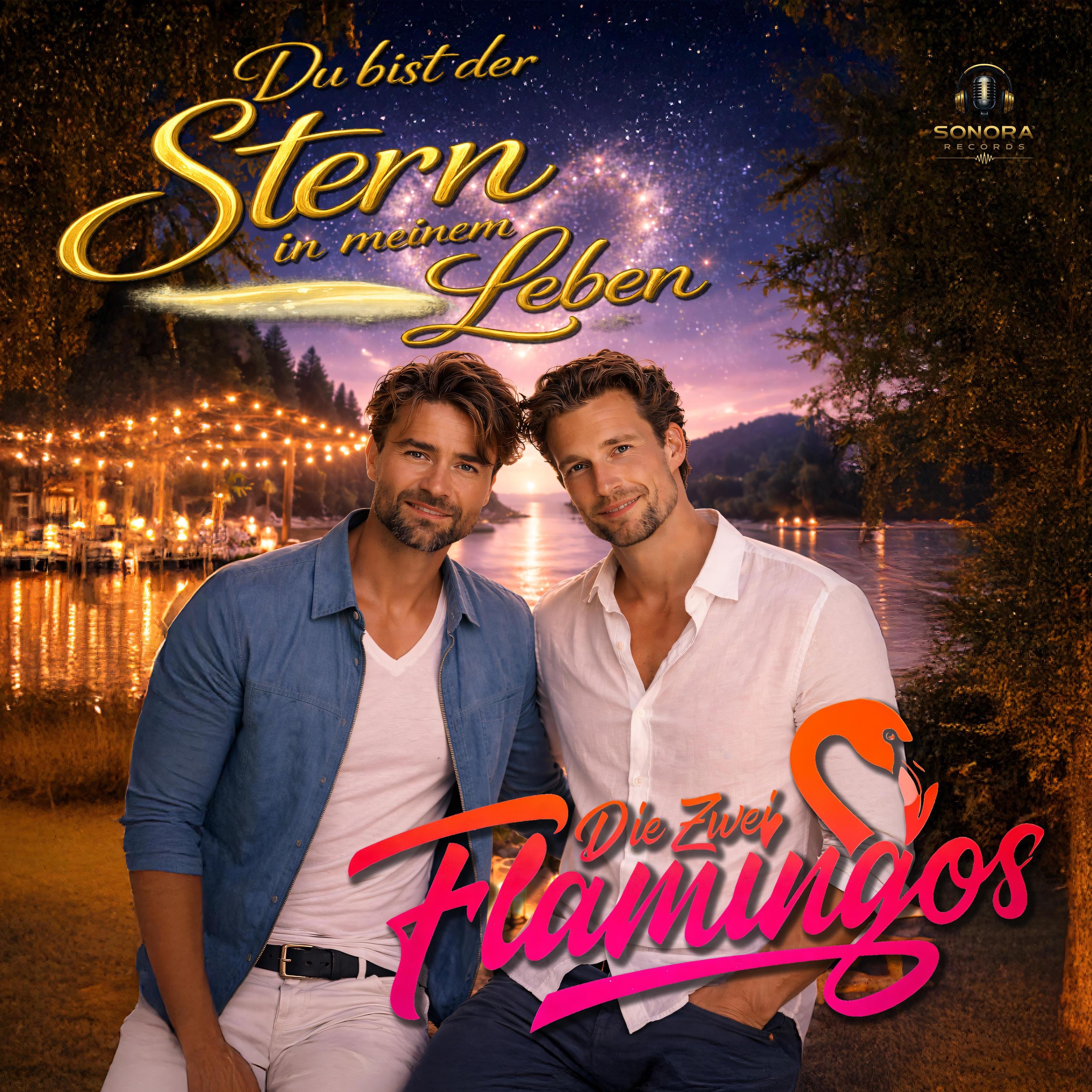 Du Bist der Stern in Meinem Leben - Single