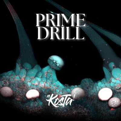 Prime Drill (feat. eurocoffin, SWD057 & 100/10) - Single