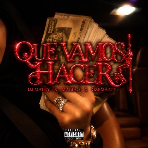 QUE VAMOS HACER - Single