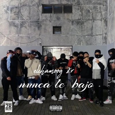 Nunca Le Bajó!! (feat. El Demonio Baby) - Single