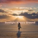 Sunlight Kisses Ground Single