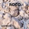 ROCO - AKD PROD lyrics