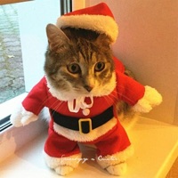 all that i wanted for christmas was you (feat. Counter) - Single - Spaceboyry