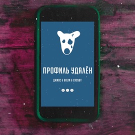 Профиль удалён Dzhios, BOLIN & Crosby