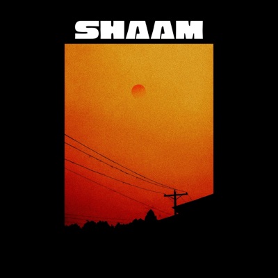 Shaam - Single