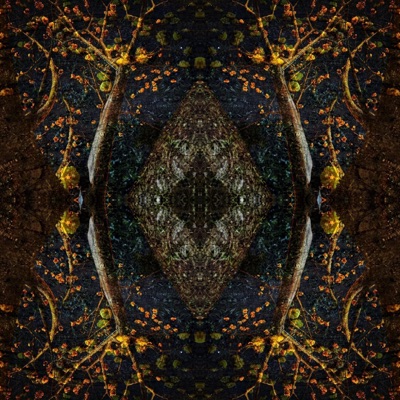 Flow (feat. Ibon Majid) - Single