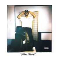 How Much (feat. M3LODI3) - Single - Renny.