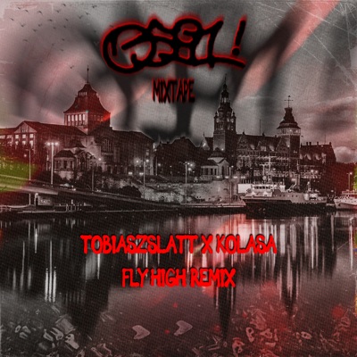 FLY HIGH (REMIX) - Single