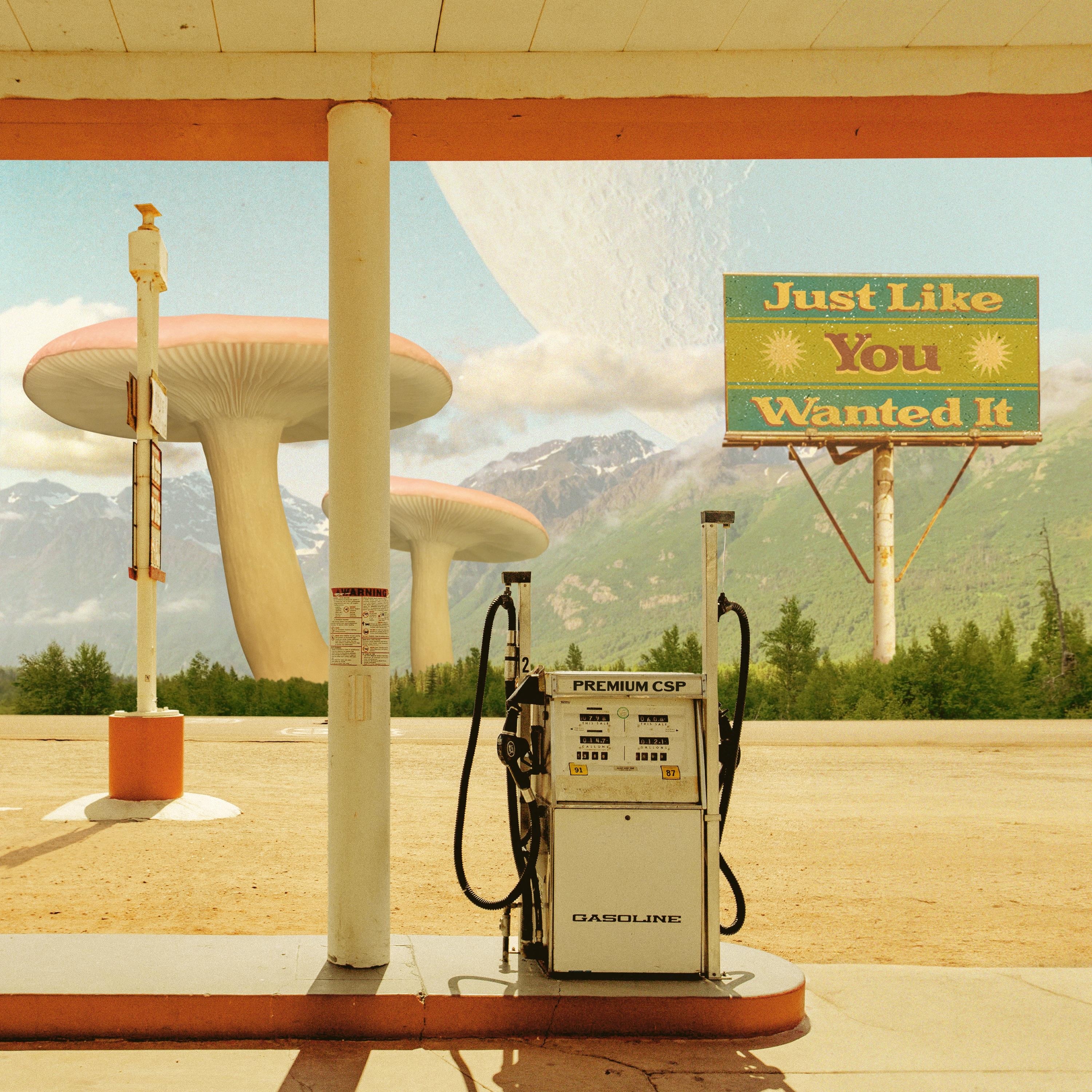 Just Like You Wanted It