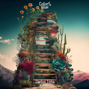 Motion - Single