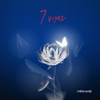 7 Vidaz - Single - Aaron Marz